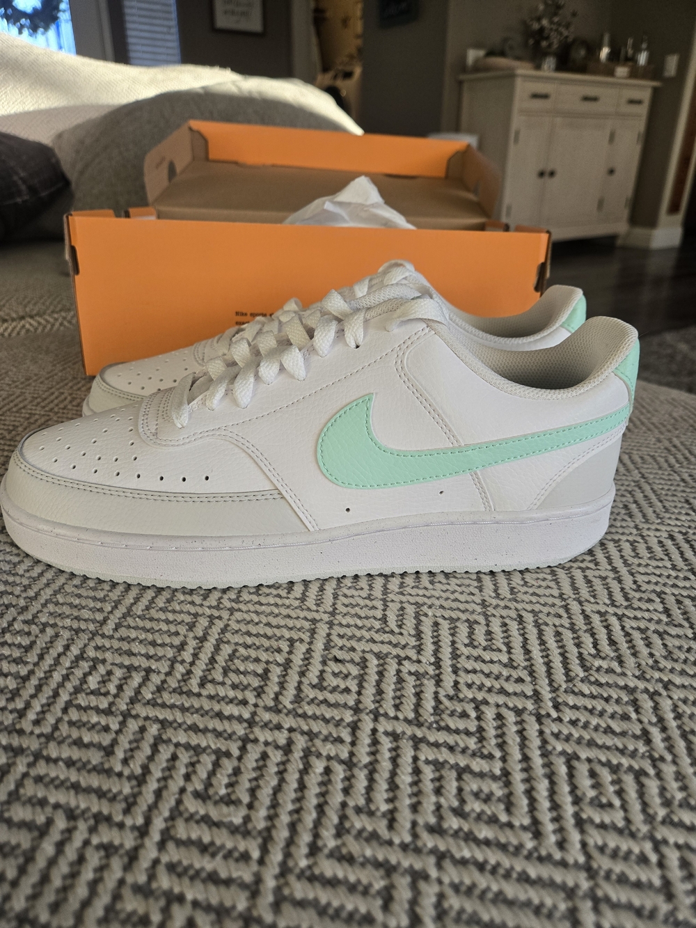 Nike Men’s Court Vision Low Top with Mint Swoosh